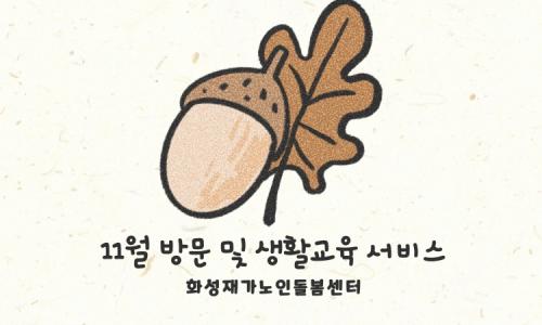 [노인맞춤돌봄서비스] 2024년 11월 "생활교육"