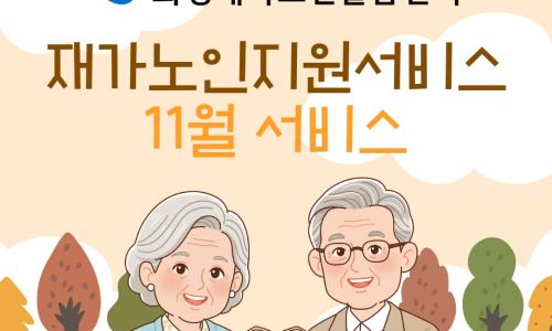 [재가노인지원서비스] 2025년 11월 지원현황